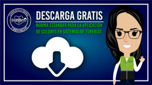 DESCARGA GRATIS NORMA ESTANDAR…