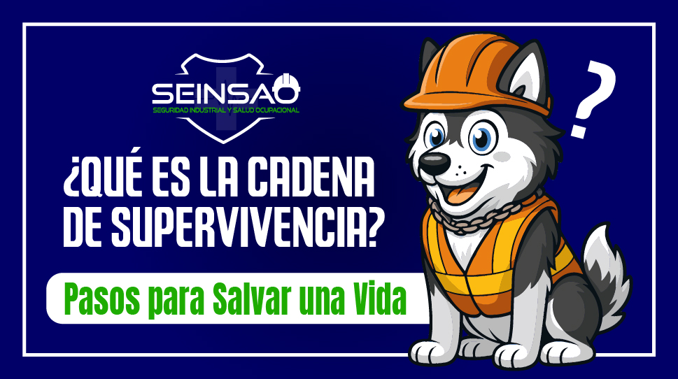 LA CADENA DE SUPERVIVENCIA